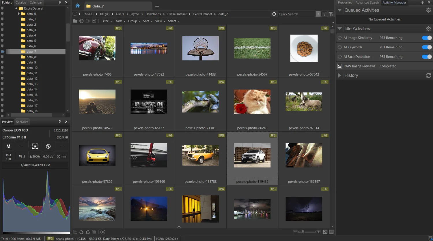 ACDSee Photo Studio Ultimate 2027 Manage mode with thumbnails and the Activity Manager panel