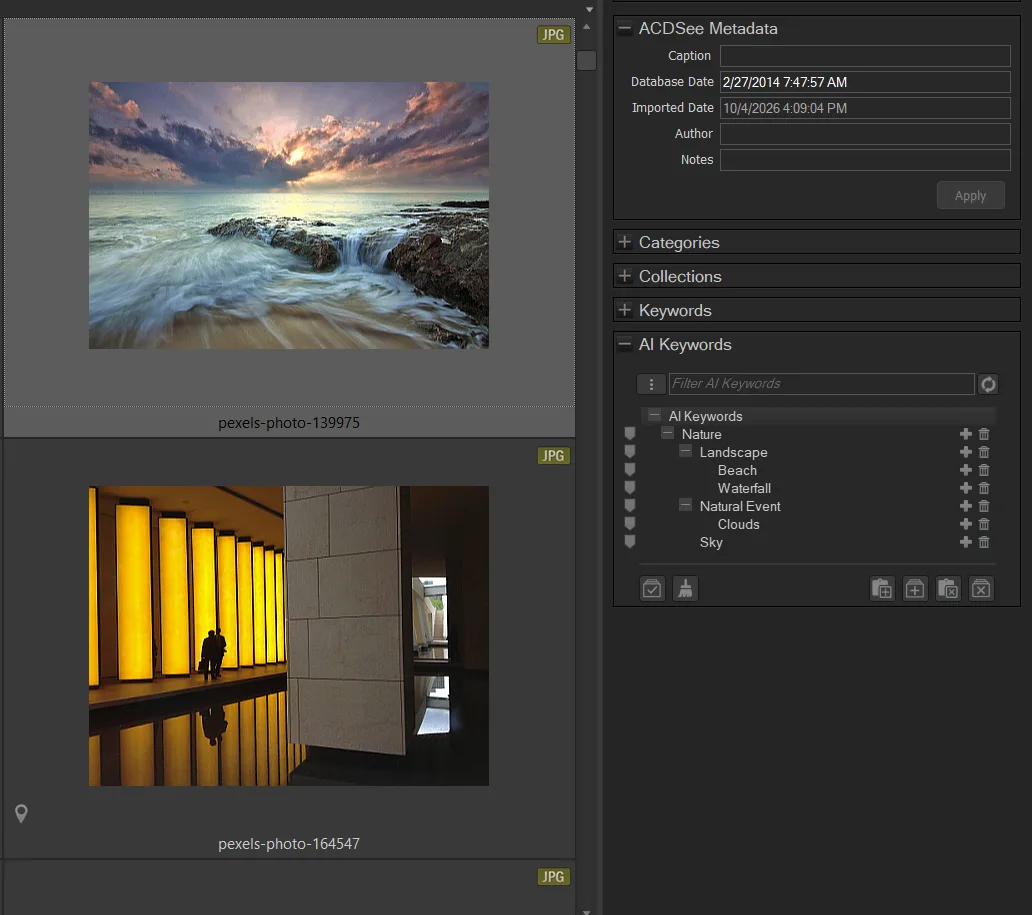 ACDSee AI Keywords panel listing Landscape, Beach, Waterfall, Clouds, and Sky for a long-exposure beach photo