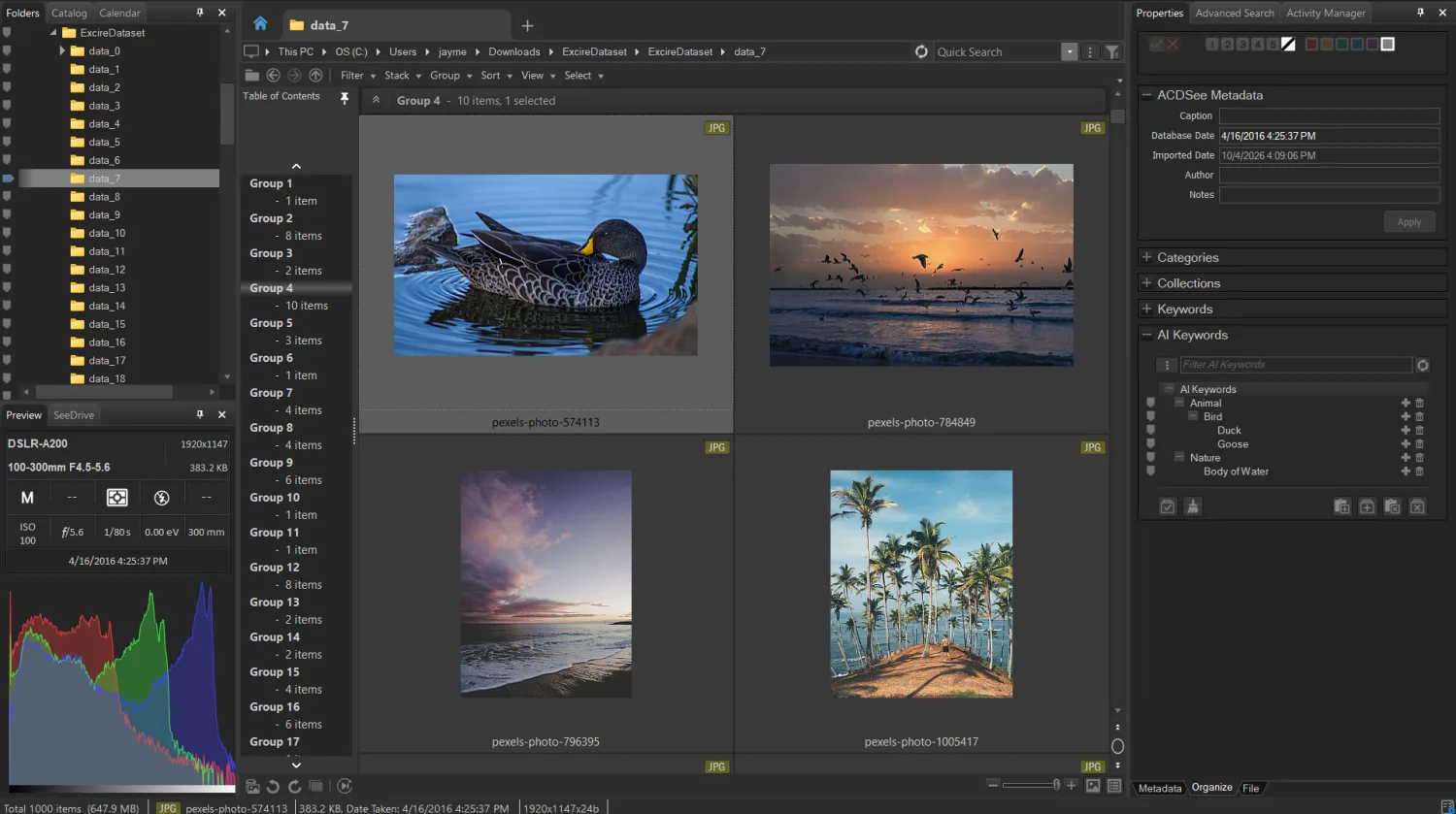 An ACDSee AI similarity group containing a duck, birds at sunset, a beach, and palm trees
