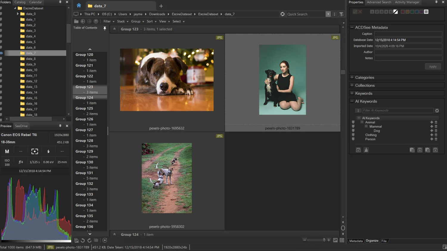 ACDSee Photo Studio AI similarity group with three dog photos and AI keywords on the right
