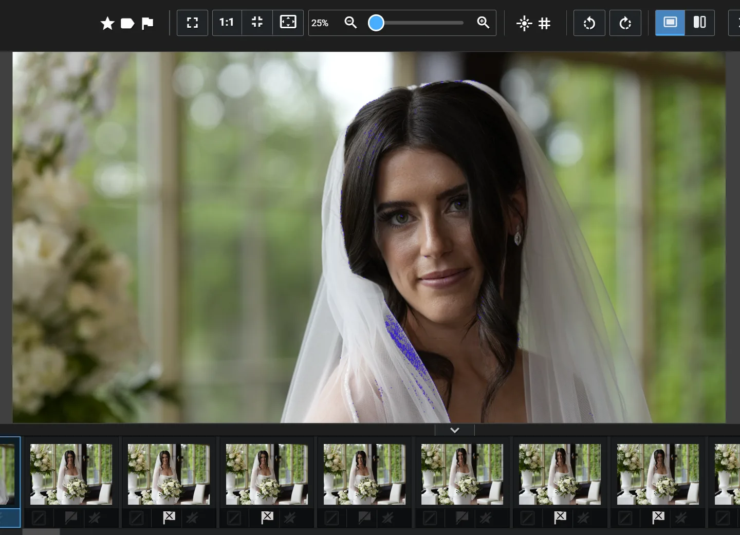 Excire Foto 2027 focus peaking overlay on a bridal portrait