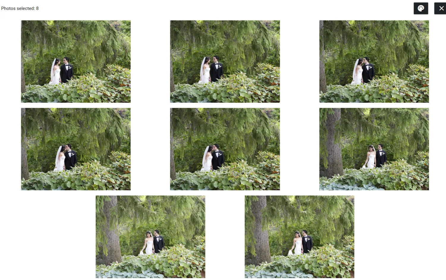 Excire Foto 2027 Survey View showing eight selected photos of a bride and groom