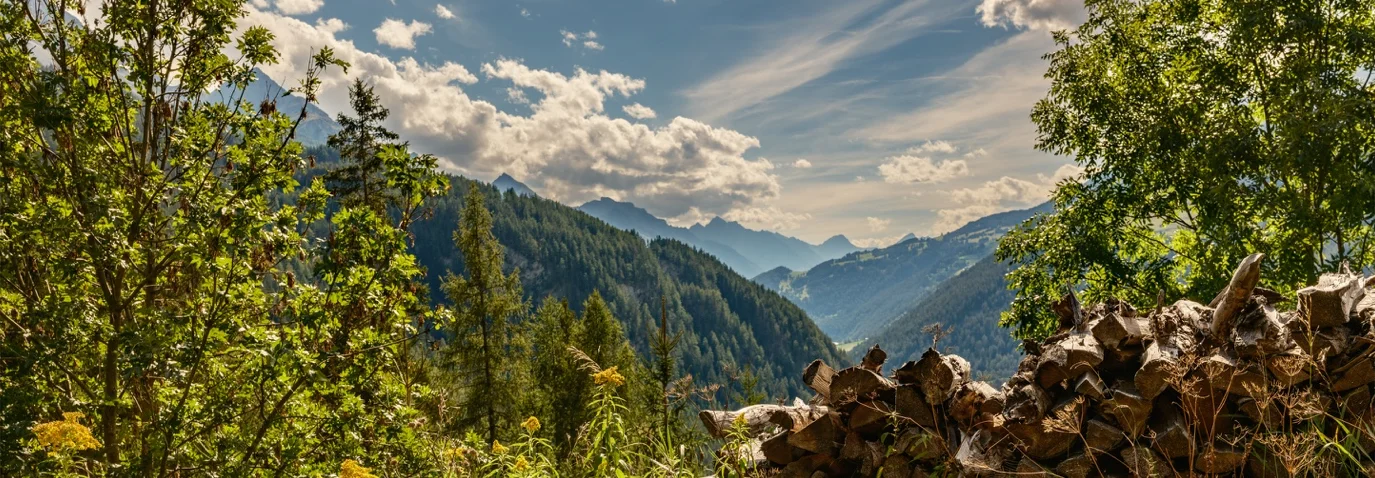 Landschaftsfotografie am Reschenpass mit Bergen und Wald, aufgenommen mit 28-mm-Objektiv | Excire