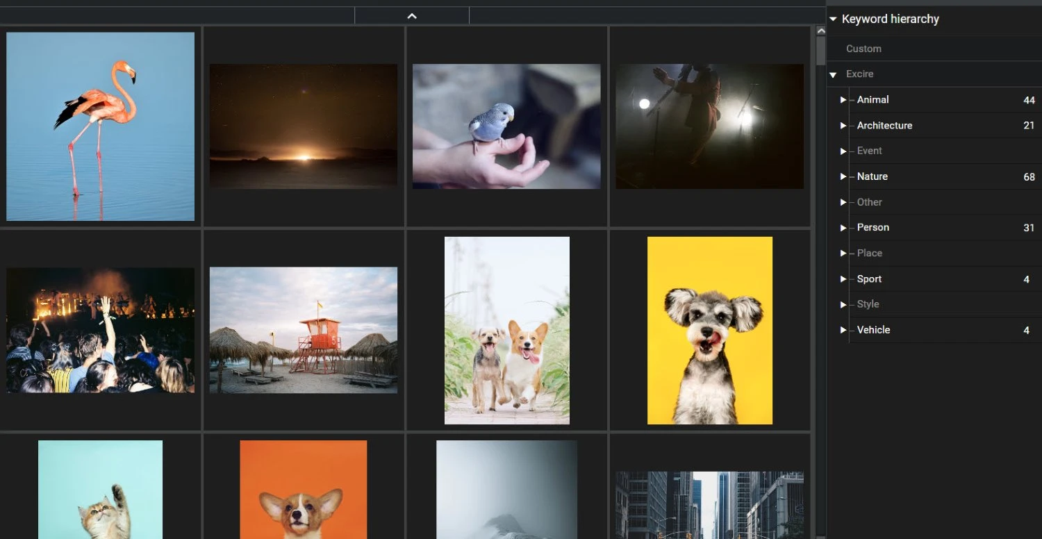 A grid of photos with a keyword hierarchy.