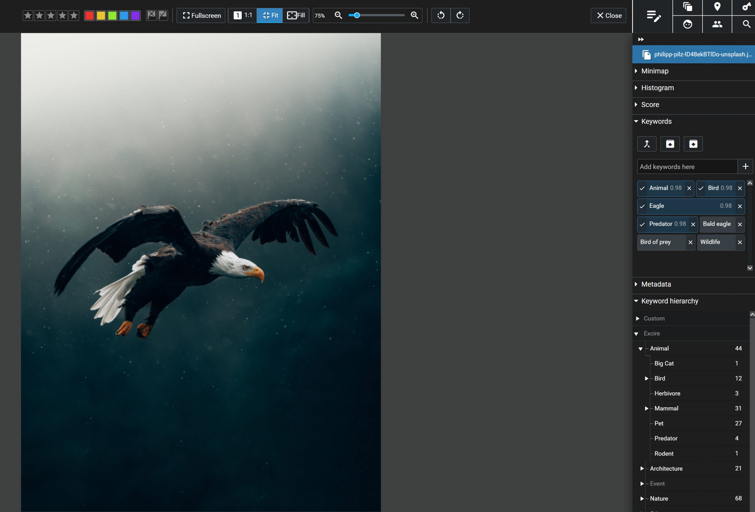 A bald eagle flying displayed in Excire Foto 2024 with AI keywords.