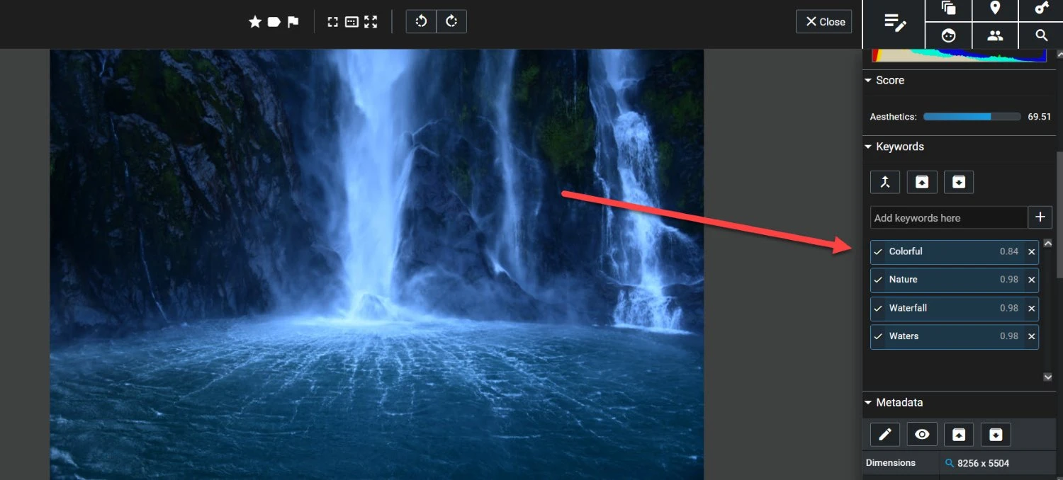 Photo keywording in Excire Foto 2024.