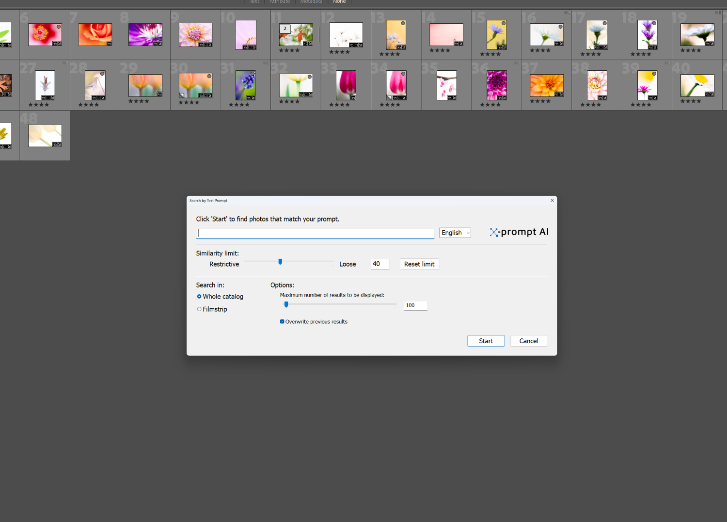 Lightroom Classic with Excire Search's text-prompt search dialog
