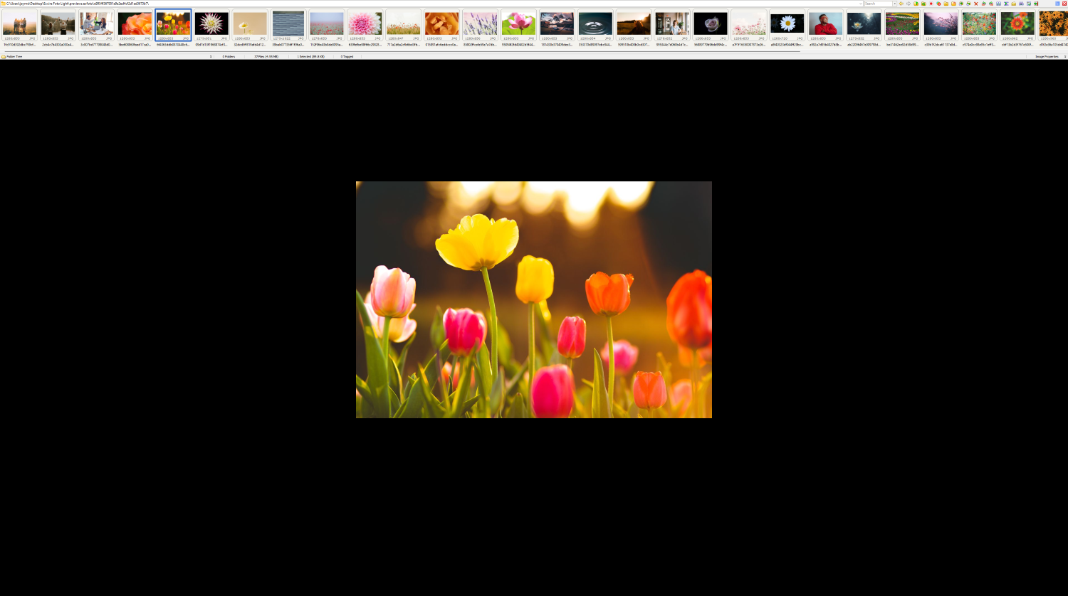 Full-screen view in FastStone Image Viewer