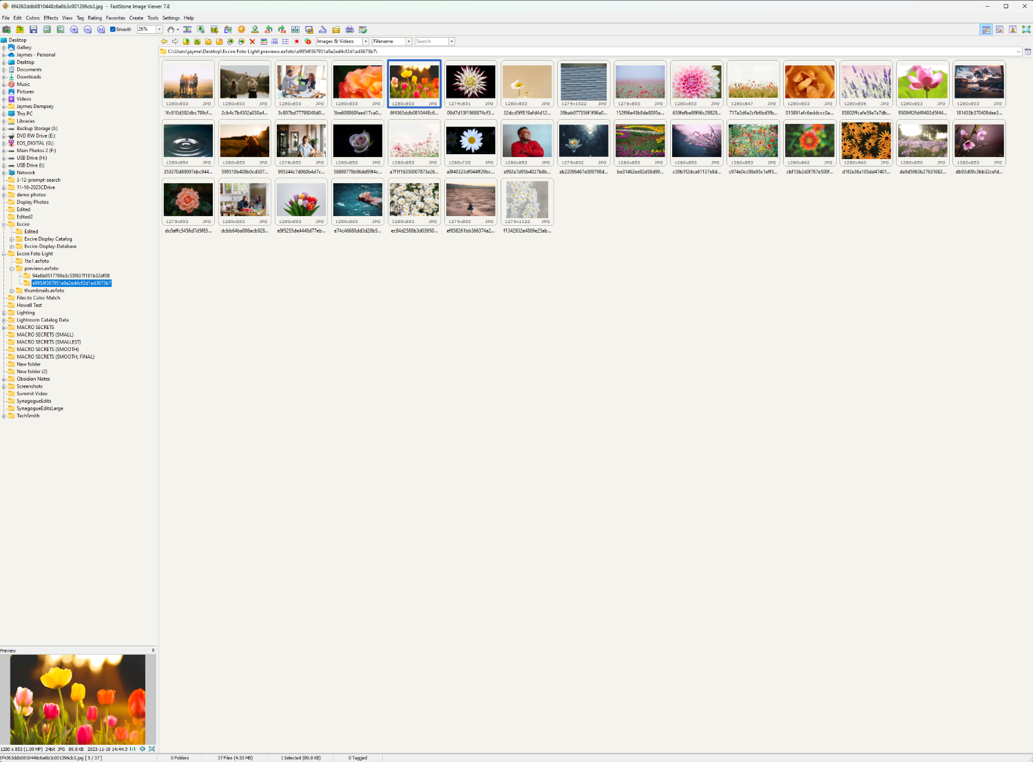 FastStone Image Viewer main layout