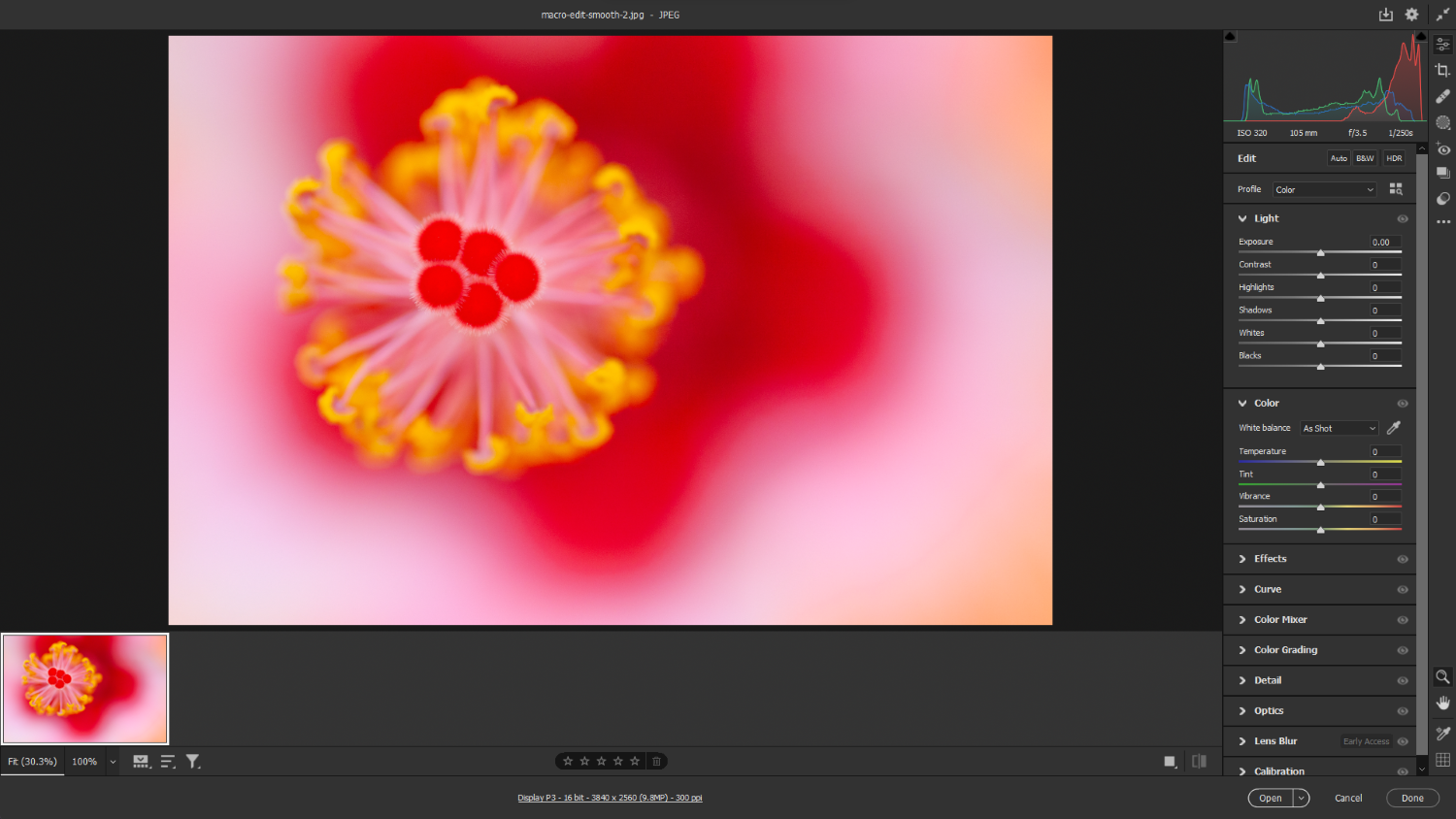 Adobe Camera Raw accessed directly from Adobe Bridge