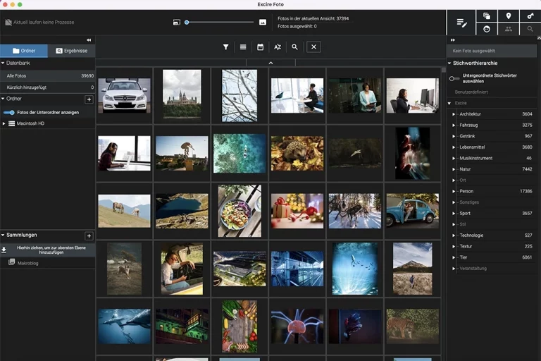 Bildverwaltungssoftware im Test