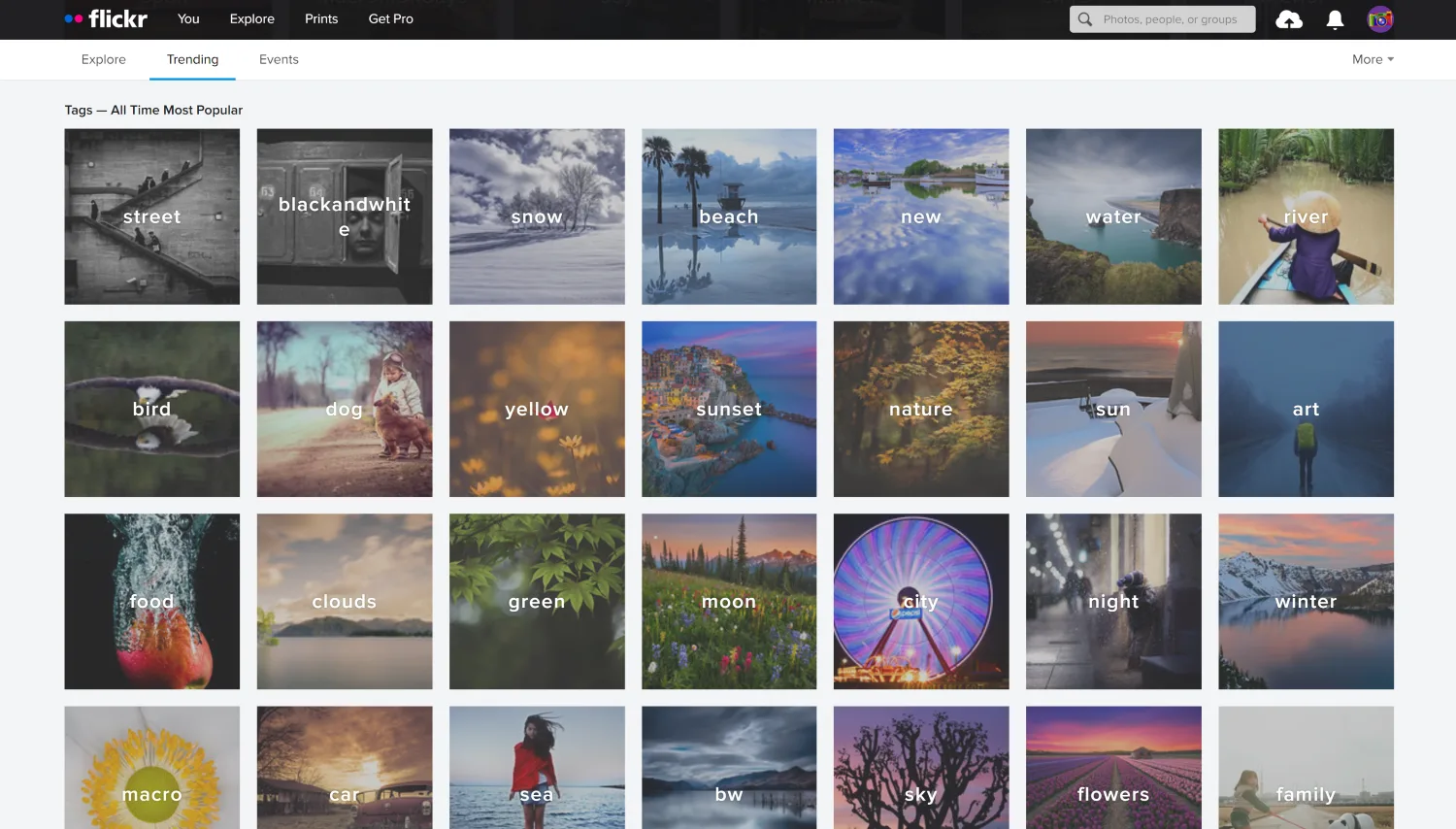 Flickr Trending page with tag categories