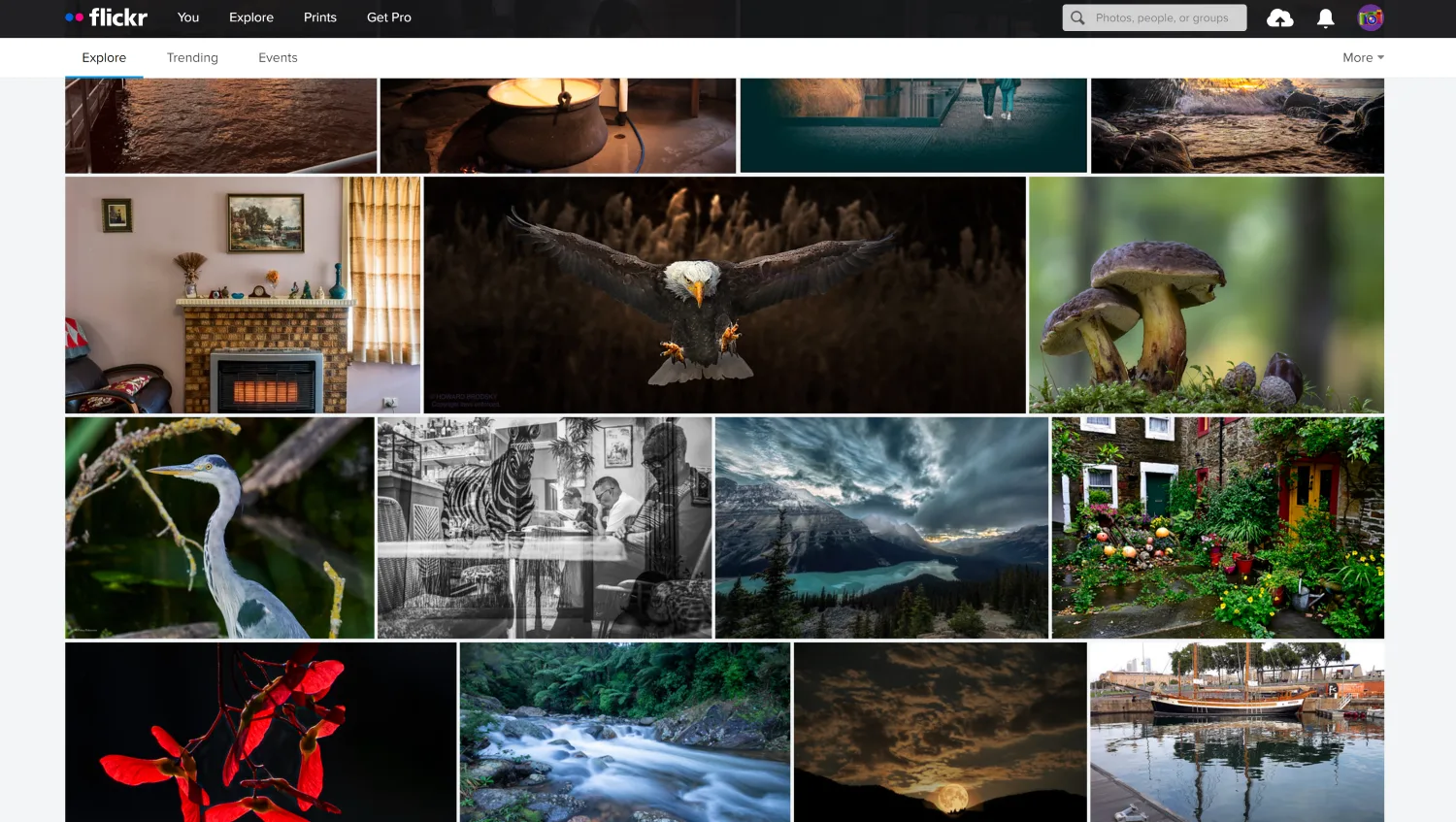 Flickr Explore page with featured images in a grid