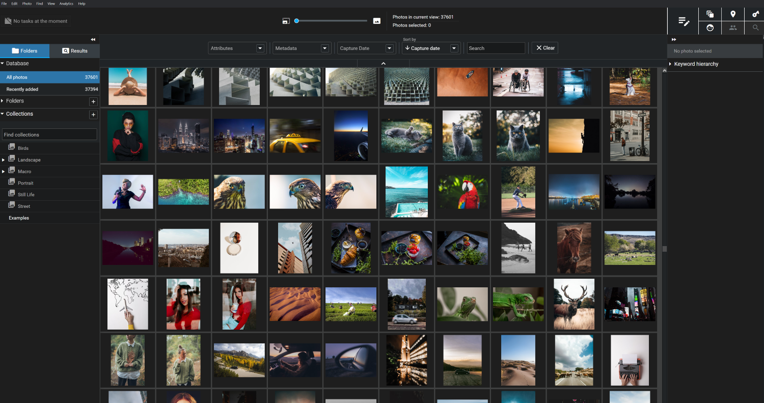 Excire Foto 2024 main interface