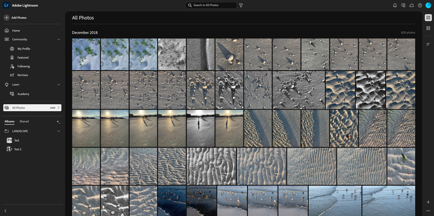 Adobe Lightroom main screen with image grid