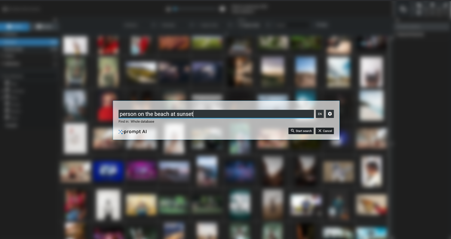 Excire Foto 2024 prompt-search AI feature