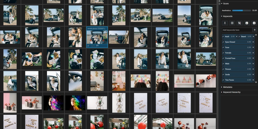 Excire Foto 2024 grid with image selected and AI tags