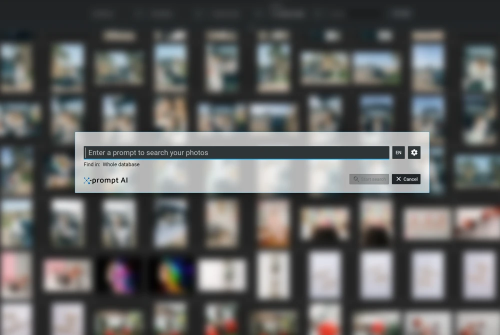 Excire's prompt-search dialog box
