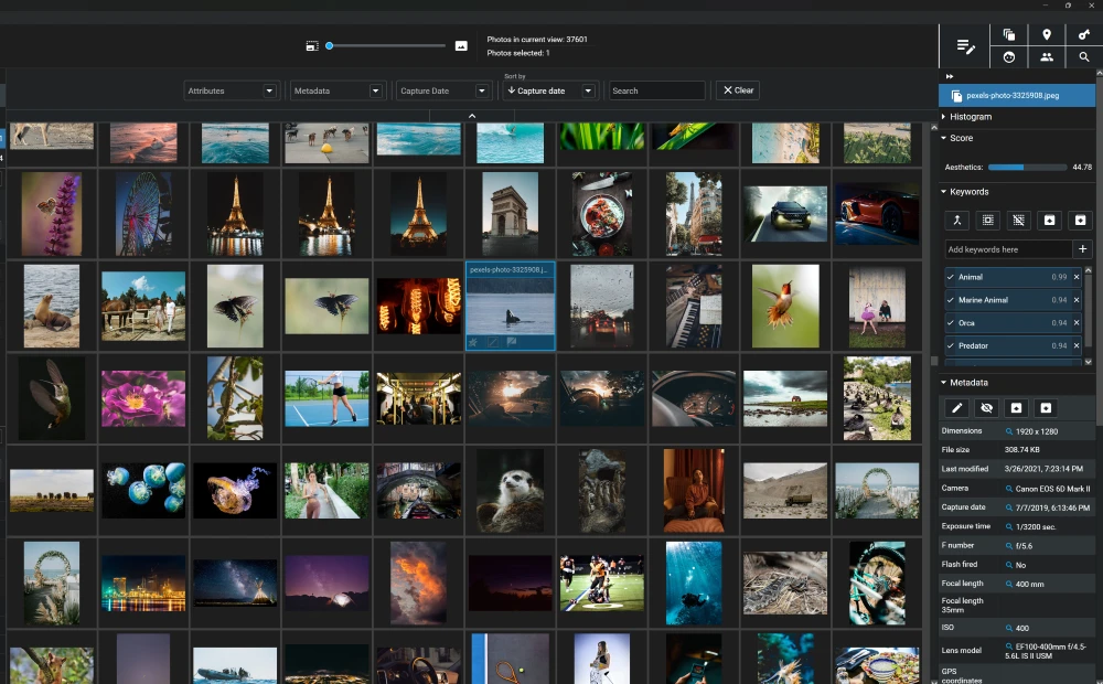 Excire Foto 2024 with images in a grid and photo tags