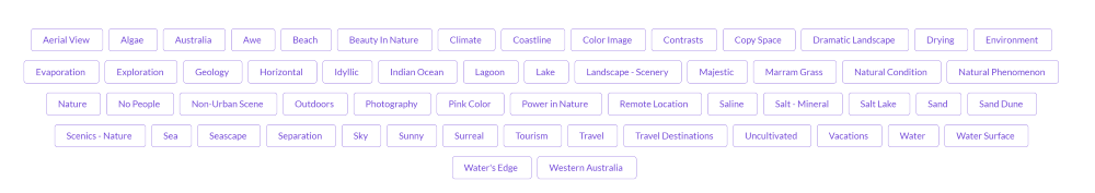Tags applied to an aerial image on Getty Images
