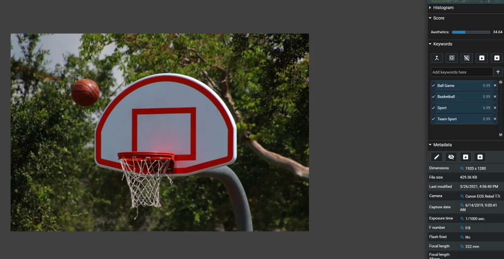 Basketball hoop with Excire's AI-generated tags