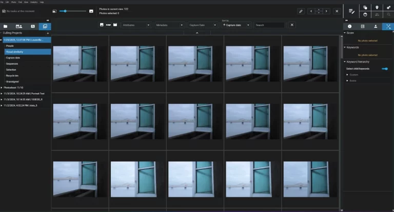 Bildverwaltungssoftwäre im Test: Rasteransicht ähnlicher Fotos mit Seitenleisten