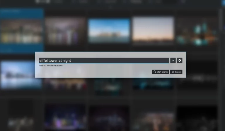 Bildverwaltungssoftware im Test: Suchfenster mit Texteingabe für Fotos im Archiv