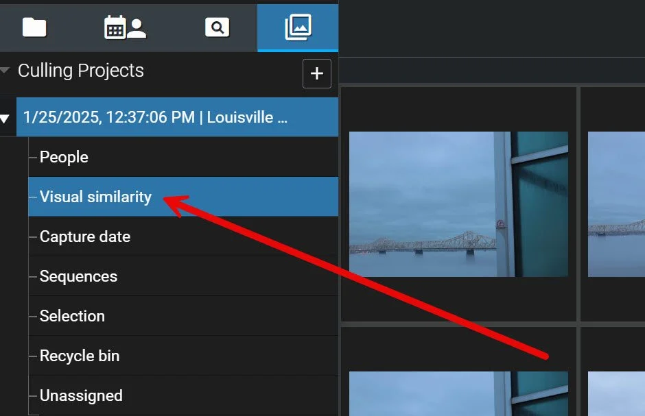 Screenshot in Excire Foto 2025's Culling Projects module with an arrow pointing to the Visual similarity option