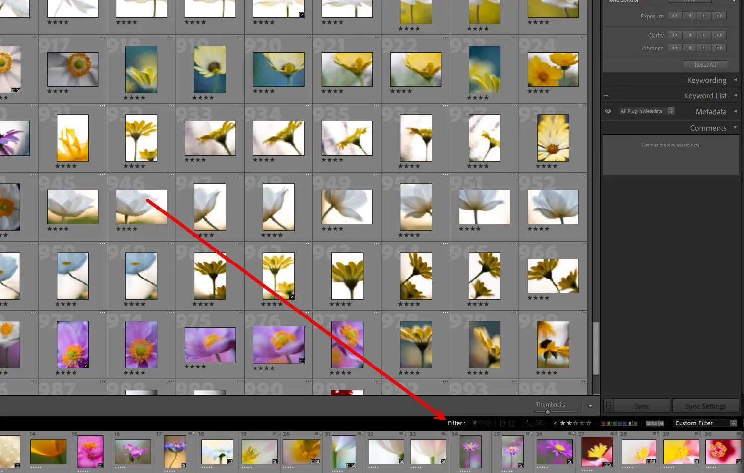 Lightroom Classic basic filtering options