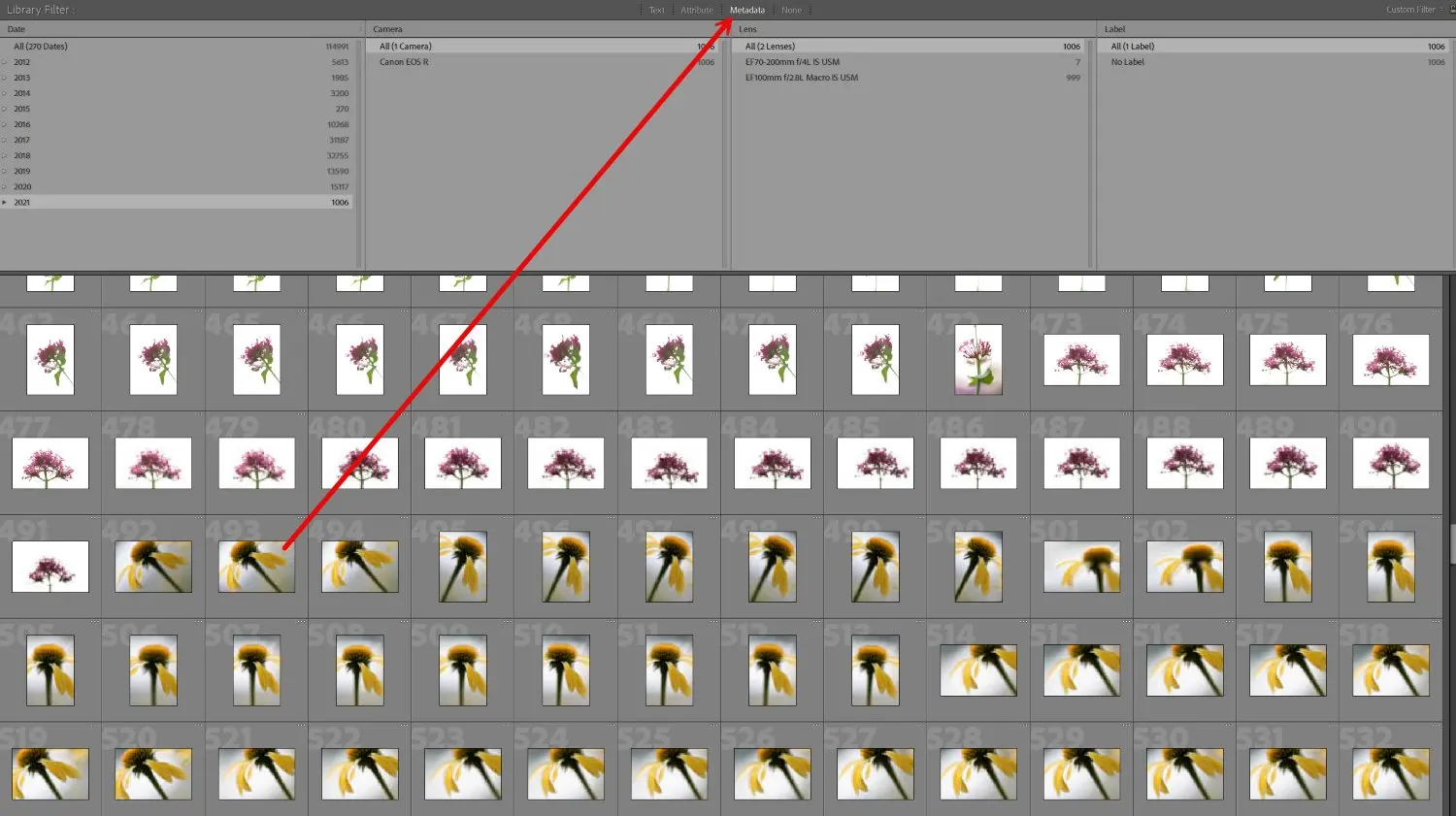 Lightroom Classic metadata Filter Bar option