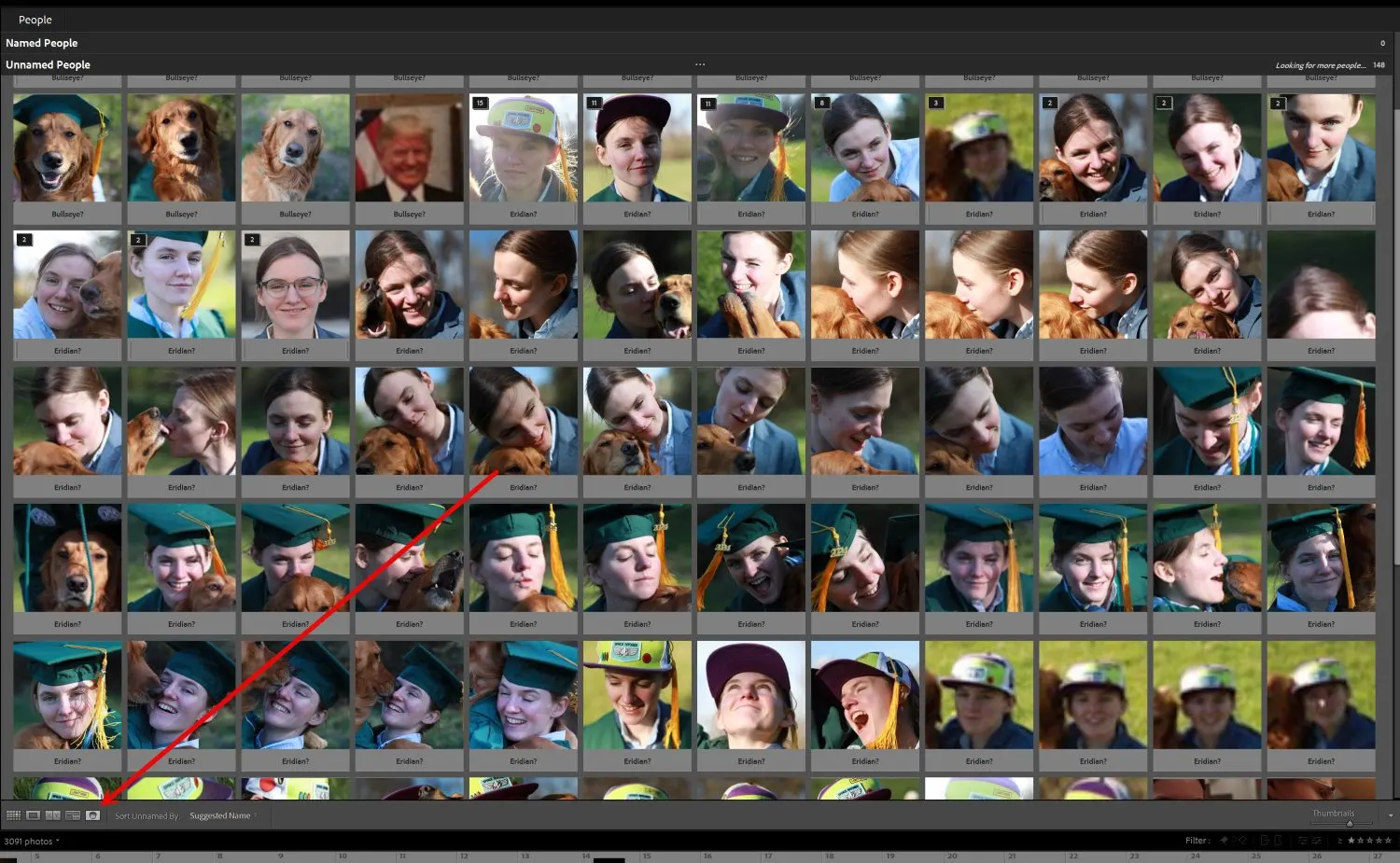 Lightroom Classic People view button