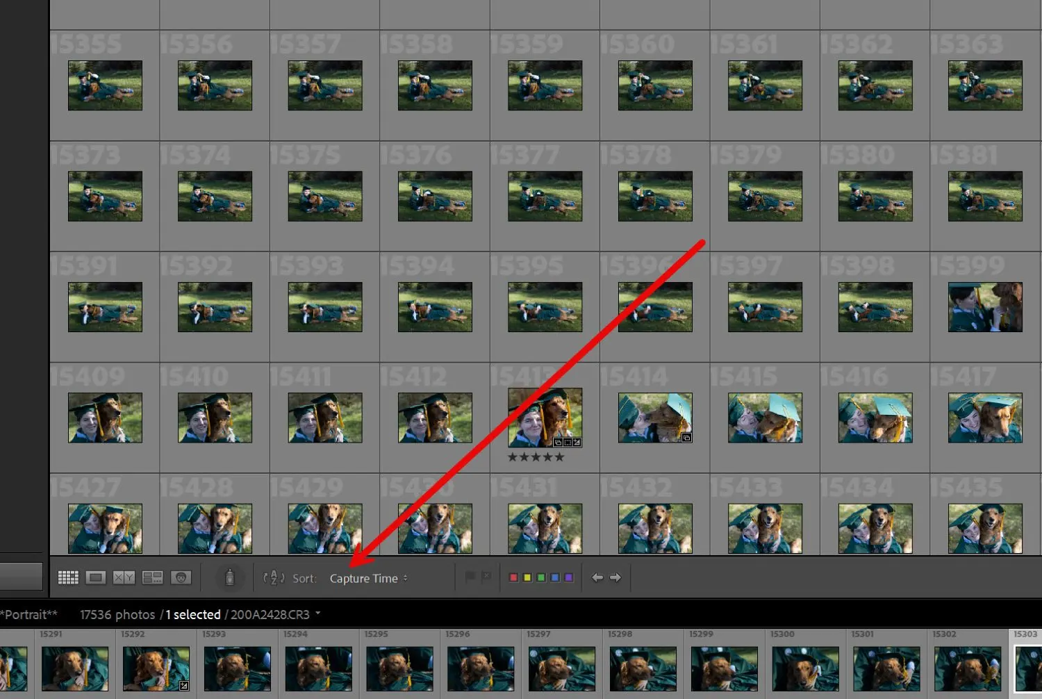 Lightroom Classic screenshot showing the Sort Bar