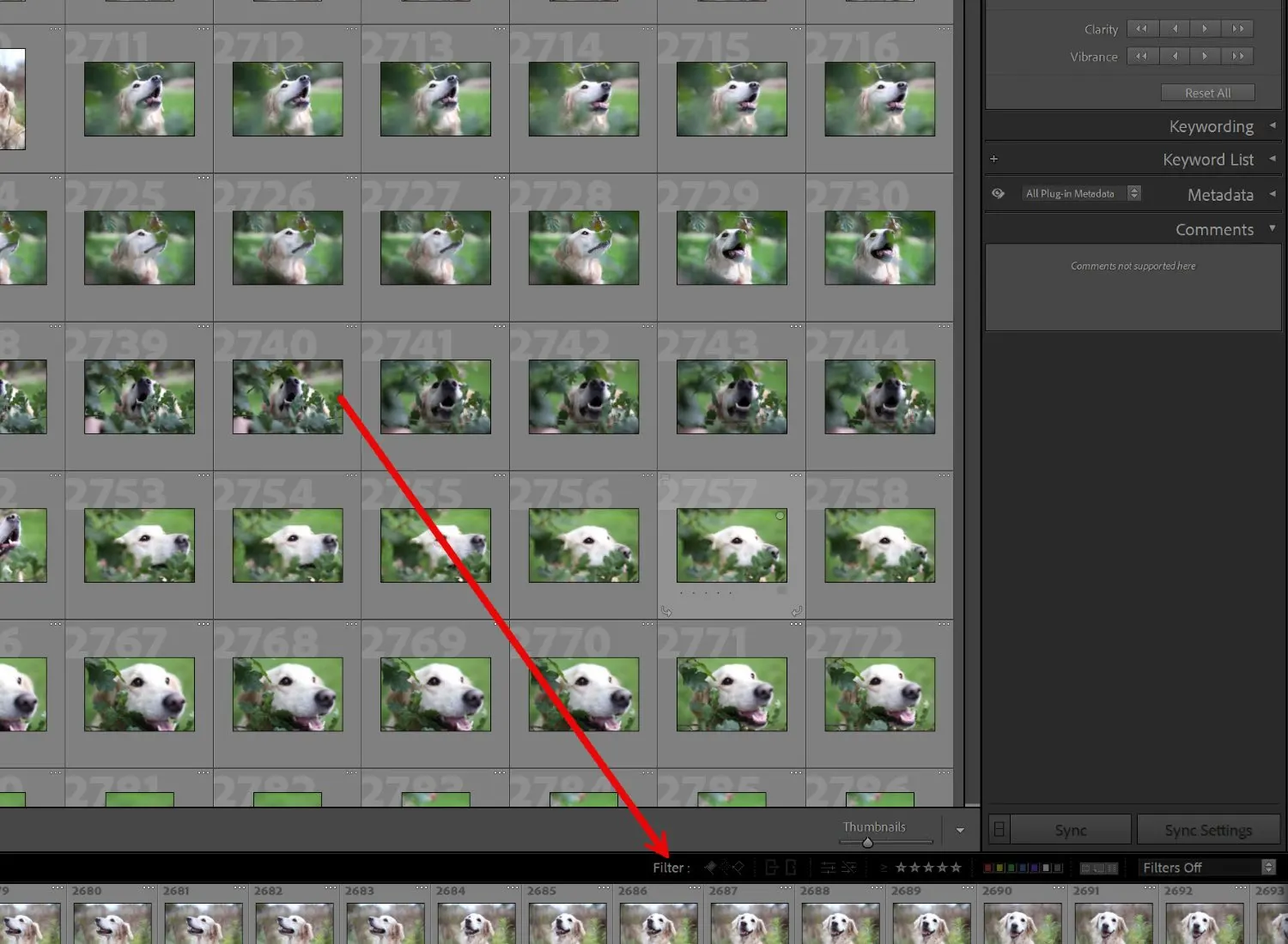 The basic Filter options in Lightroom Classic
