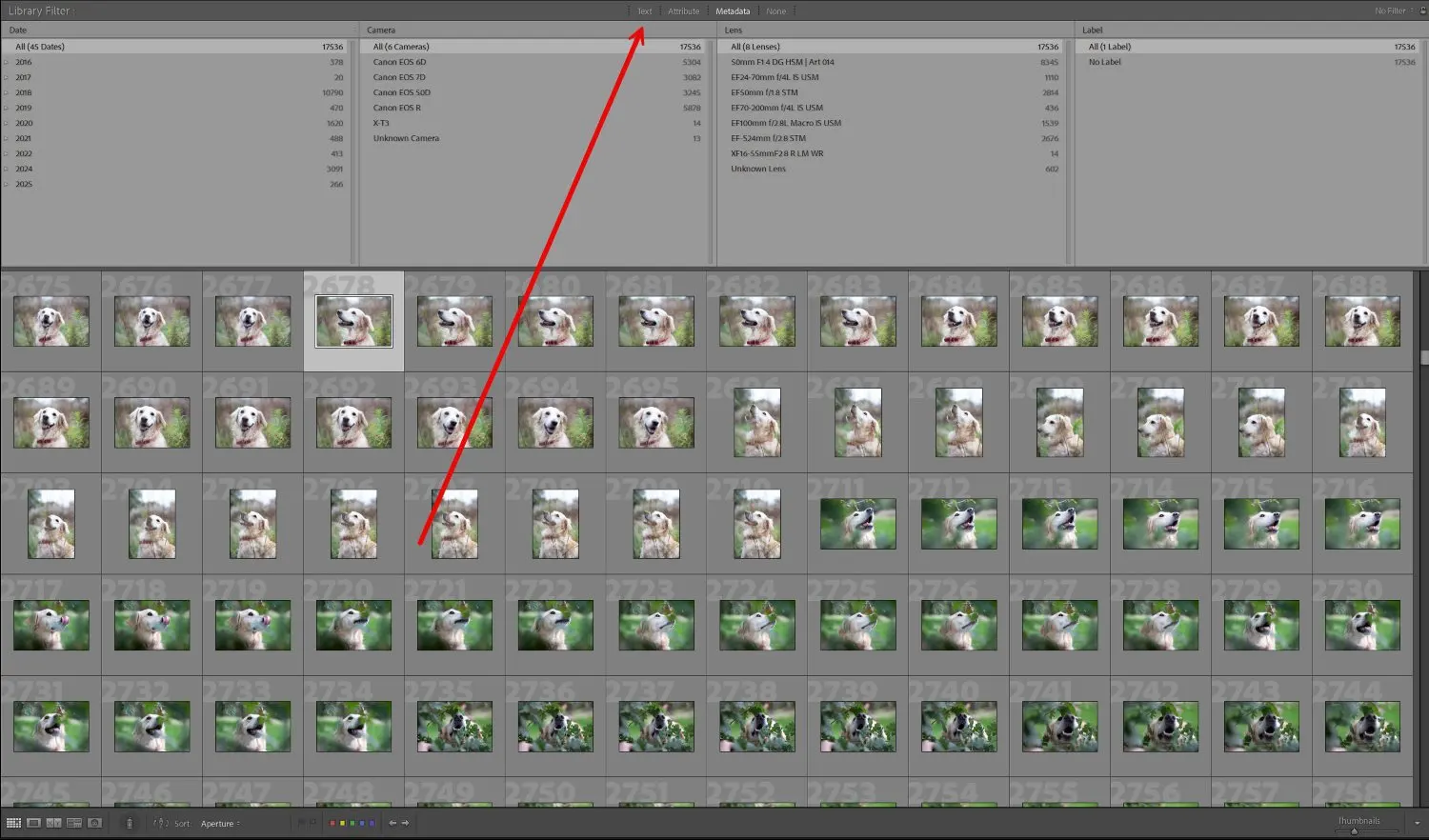 The Filter Bar in Lightroom Classic