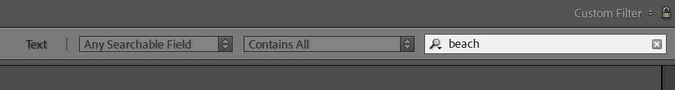 Lightroom Classic Filter Bar Text search option with "beach" entered