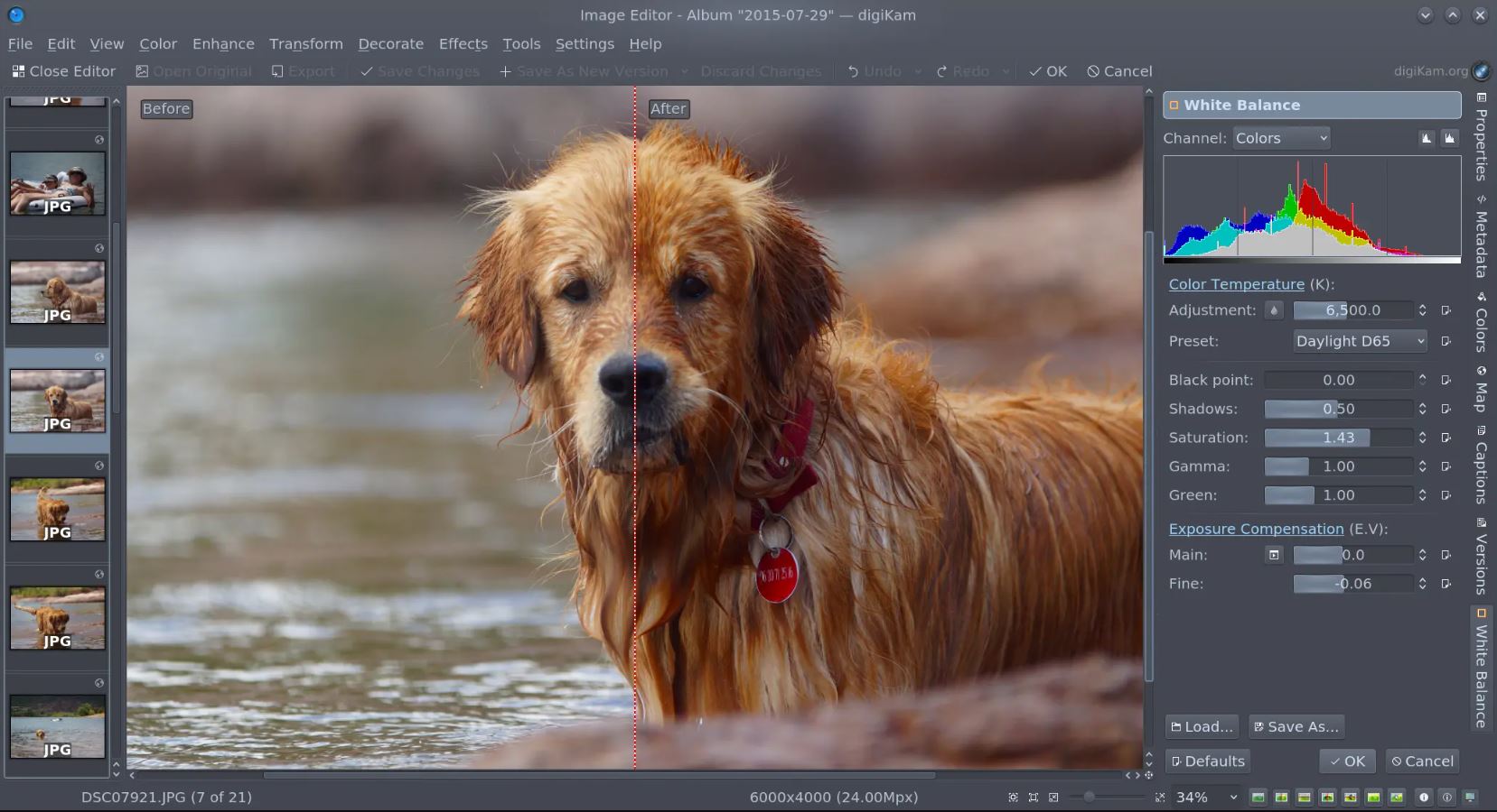 Vergleichsansicht im digiKam-Editor mit bearbeitetem Hundebild und Farbreglern