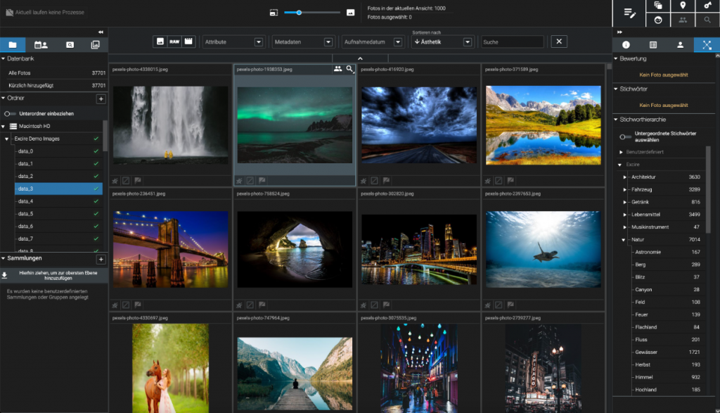 Bilderansicht mit Ordnerstruktur und Filtern zur Verwaltung in Excire Foto 2025