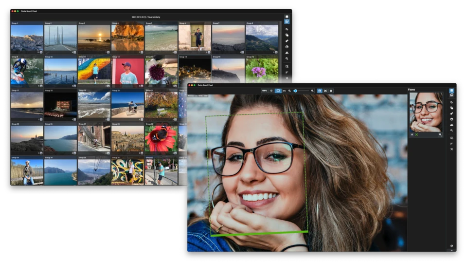 Excire Search 2026 panel full display