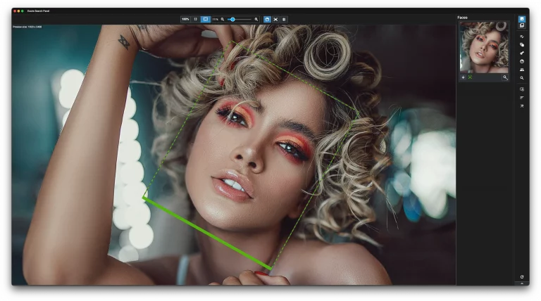 Excire Search 2026 new panel