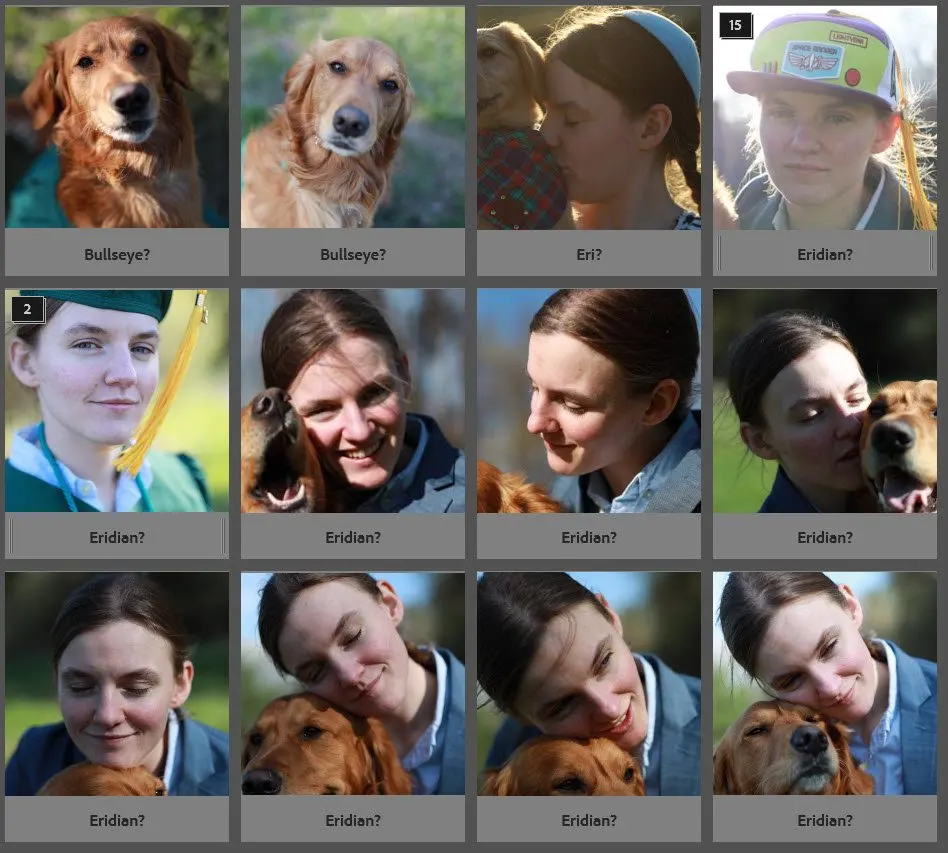 Raster mit Golden Retrievern und Menschen, Frage zu den Namen Bullseye und Eridian