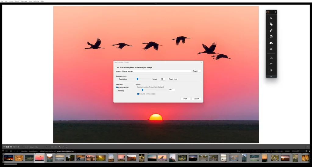 Prompt search tool in Excire Search 2026