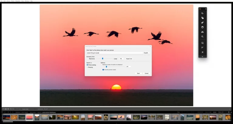 Excire Search zeigt die Suchergebnisse direkt im Filmstreifen unter dem Hauptbild