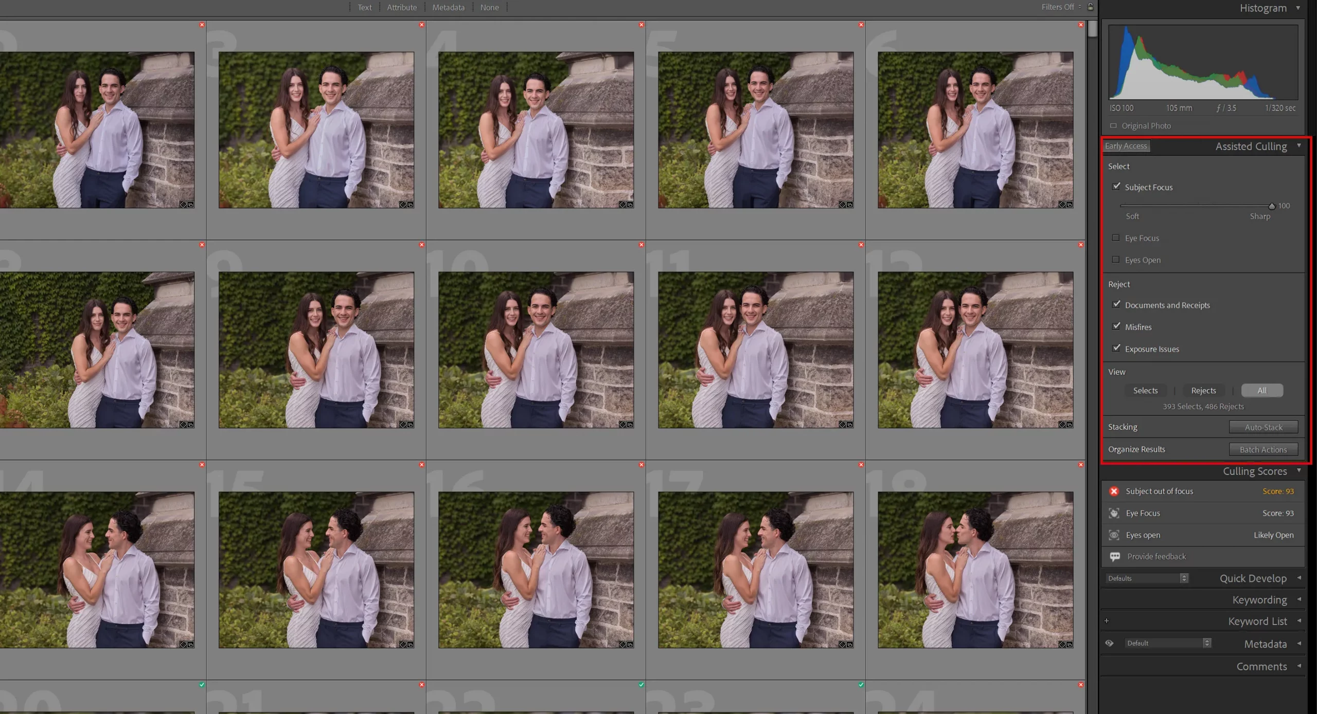 Working with the Assisted Culling panel in the Lightroom Classic Library module