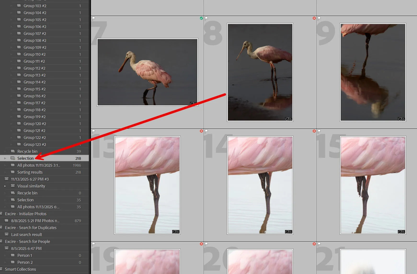 Selection collection created by Excire Search 2026 in Lightroom Classic
