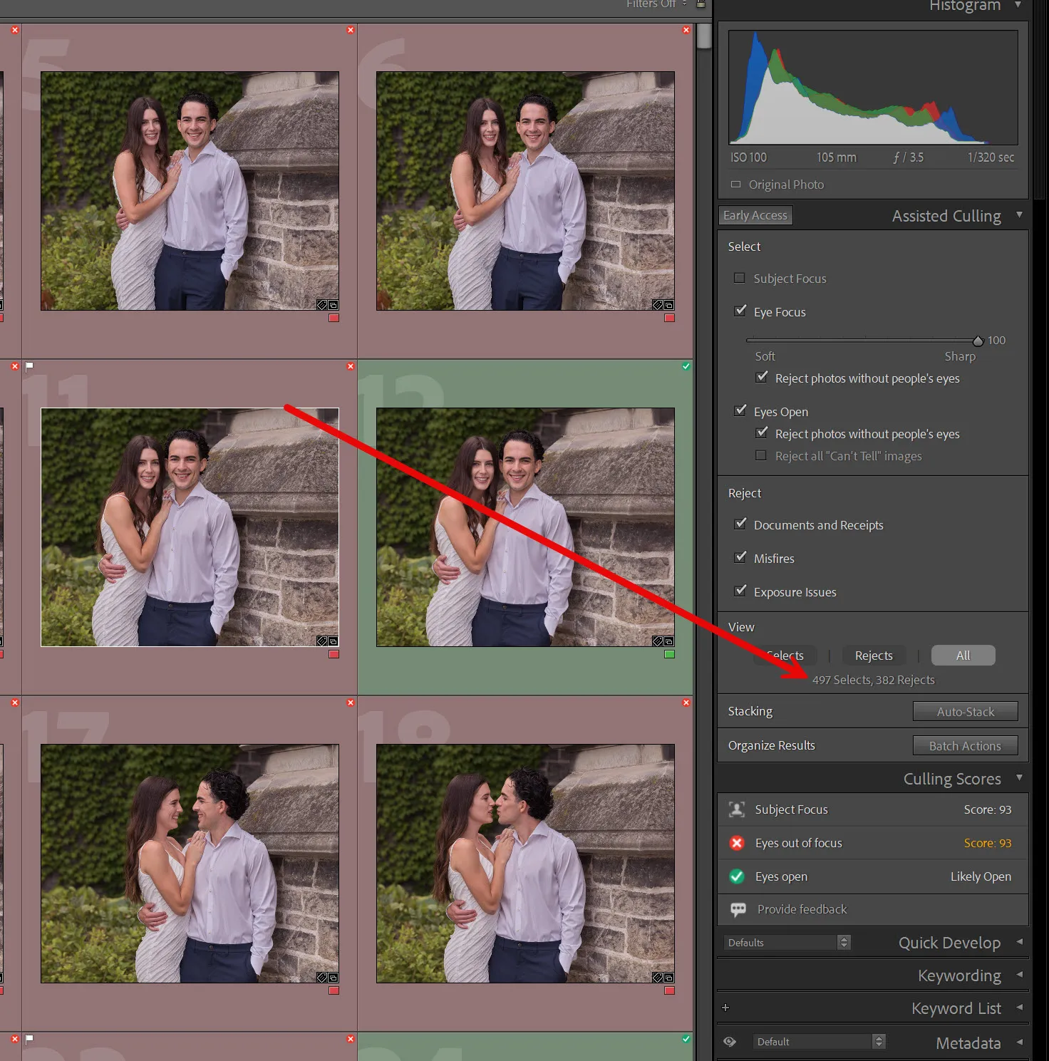 Assisted Culling panel with 497 Selects and 382 Rejects