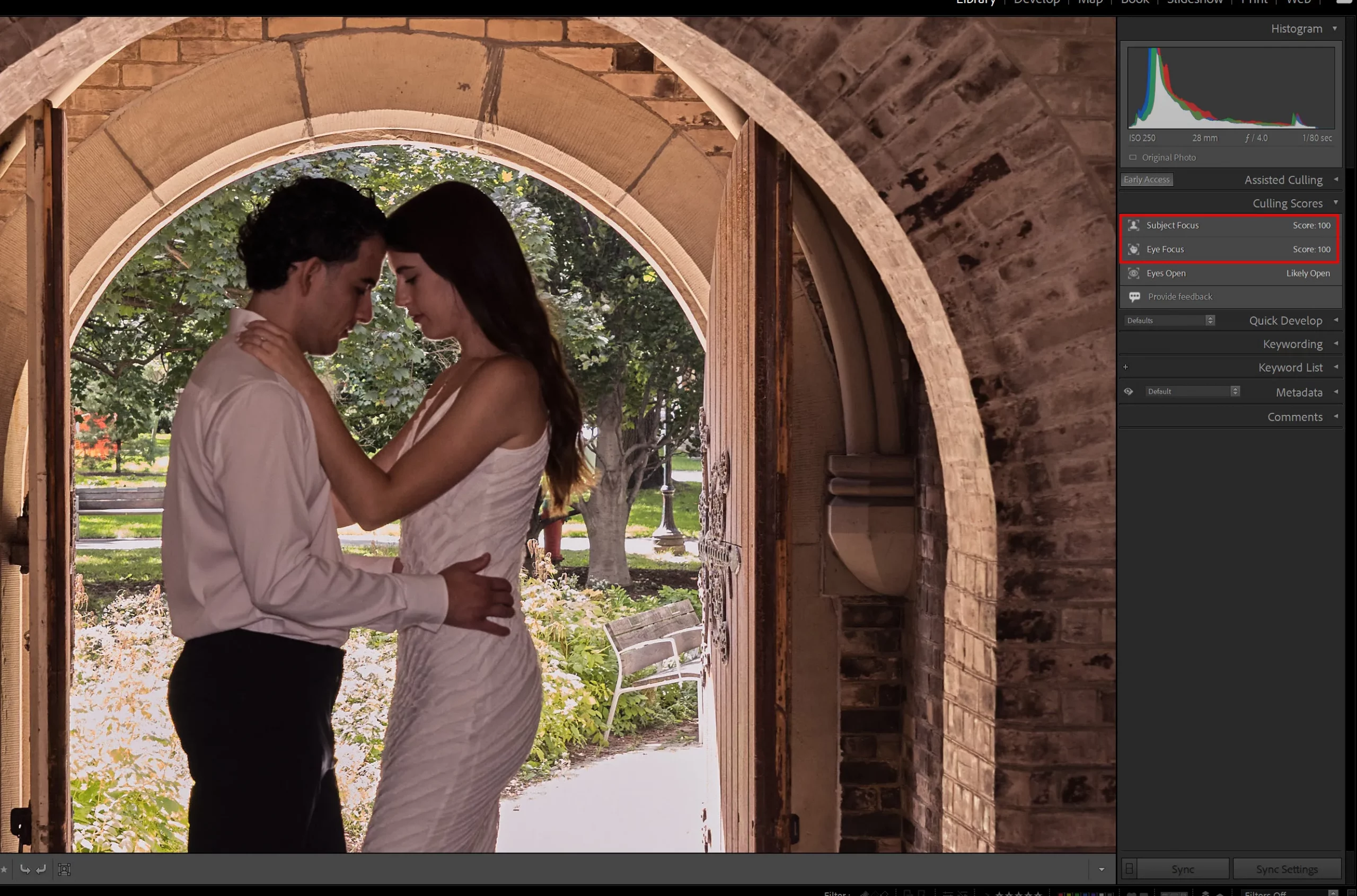 An image with 100/100 culling scores in Lightroom zoomed in to show blur