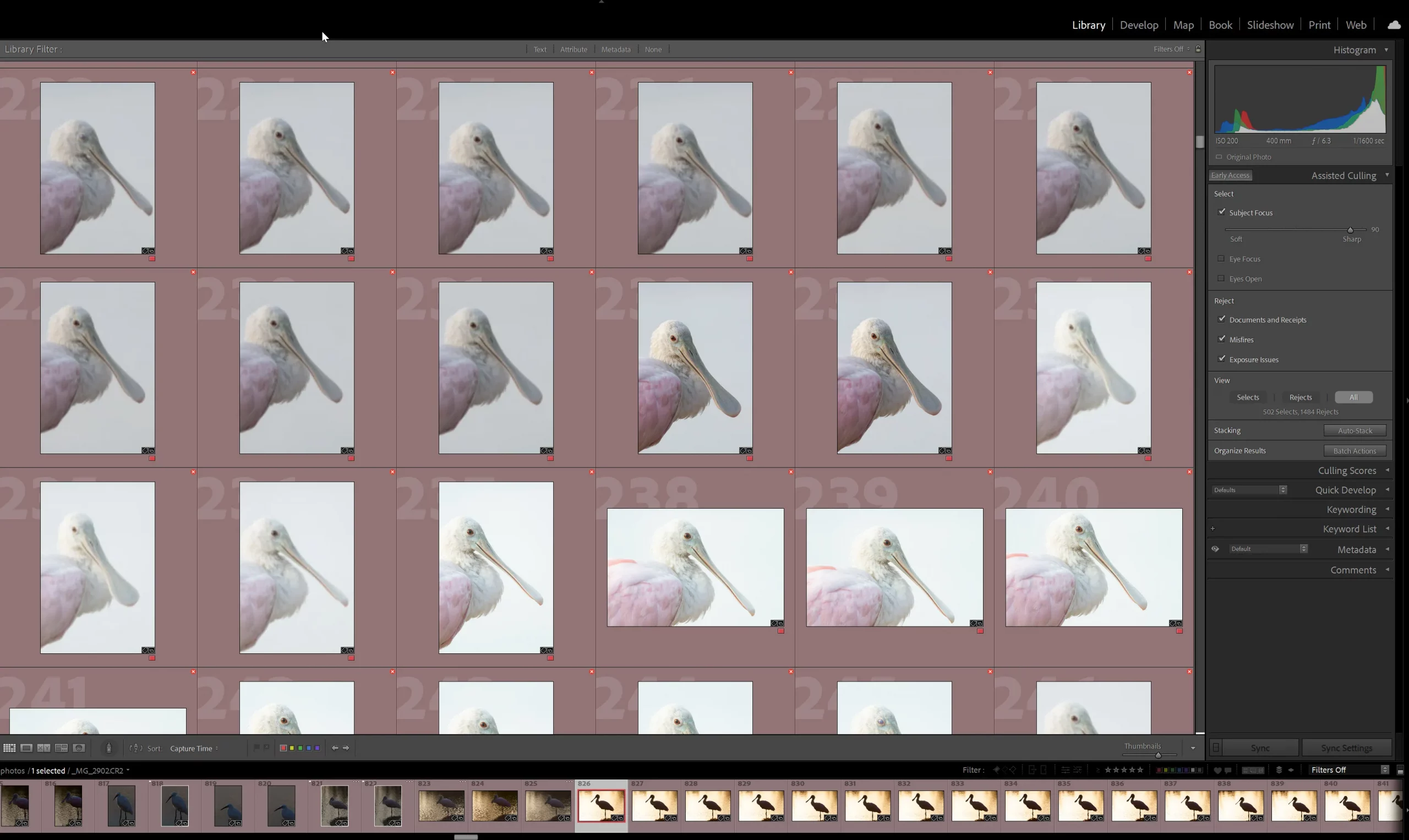 Lightroom Classic Assisted Culling grid showing bird images