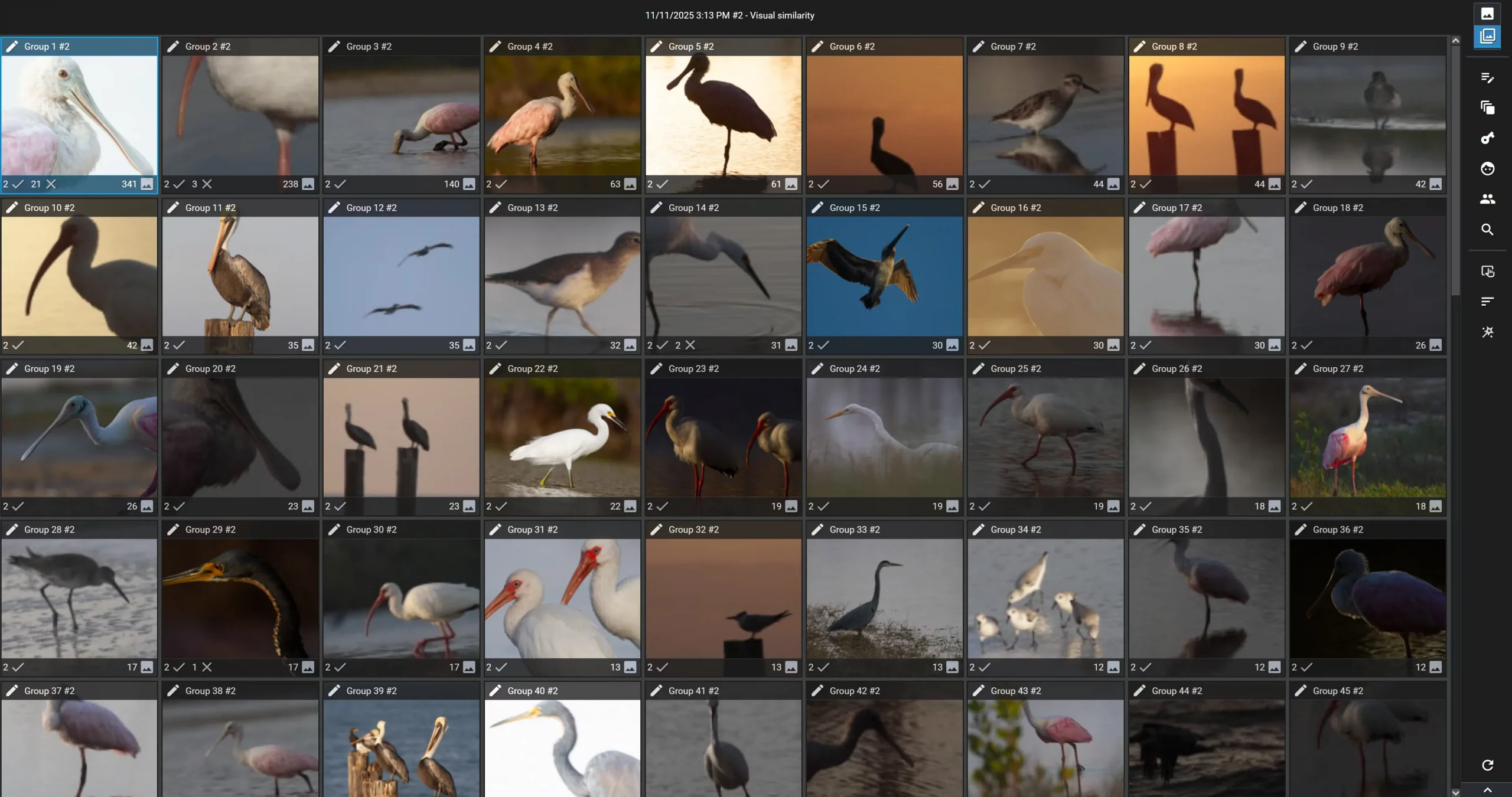 Excire Search 2026 Lightroom plugin showing groups of visually similar bird photos