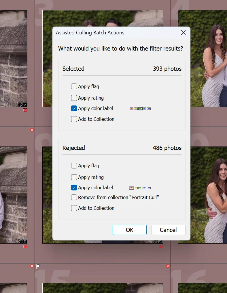 Batch Actions dialog in Lightroom Classic