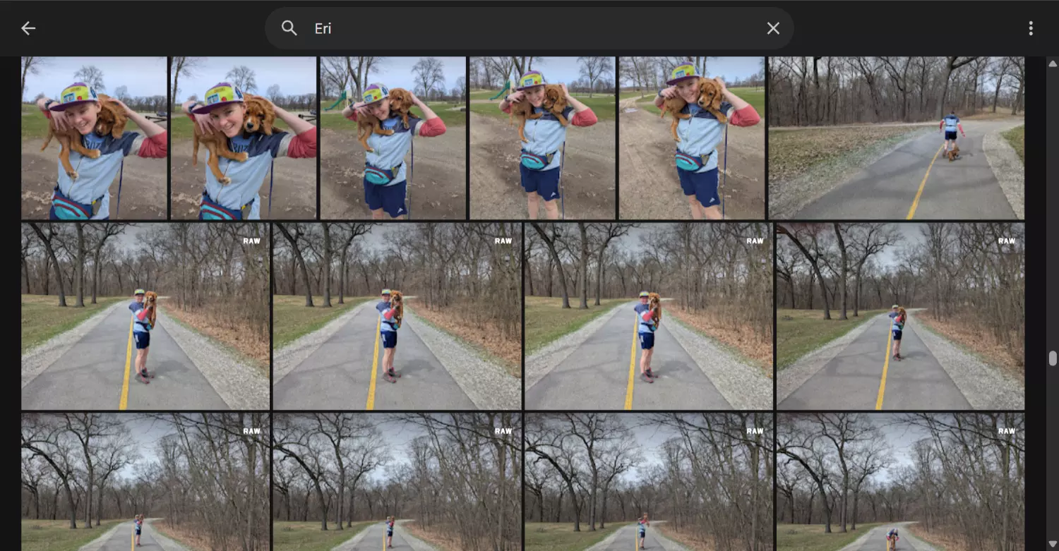 Google Photos main image grid